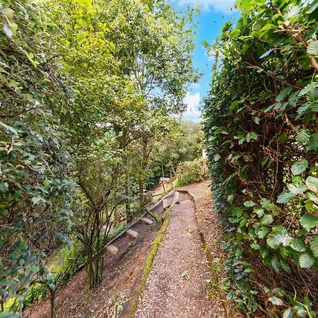 Apartamento Forest-edge Hideaway, Bouillon, Cleaning Included